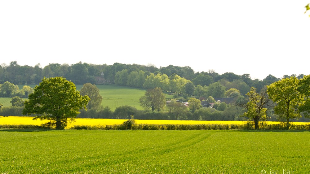 Meesden Fields